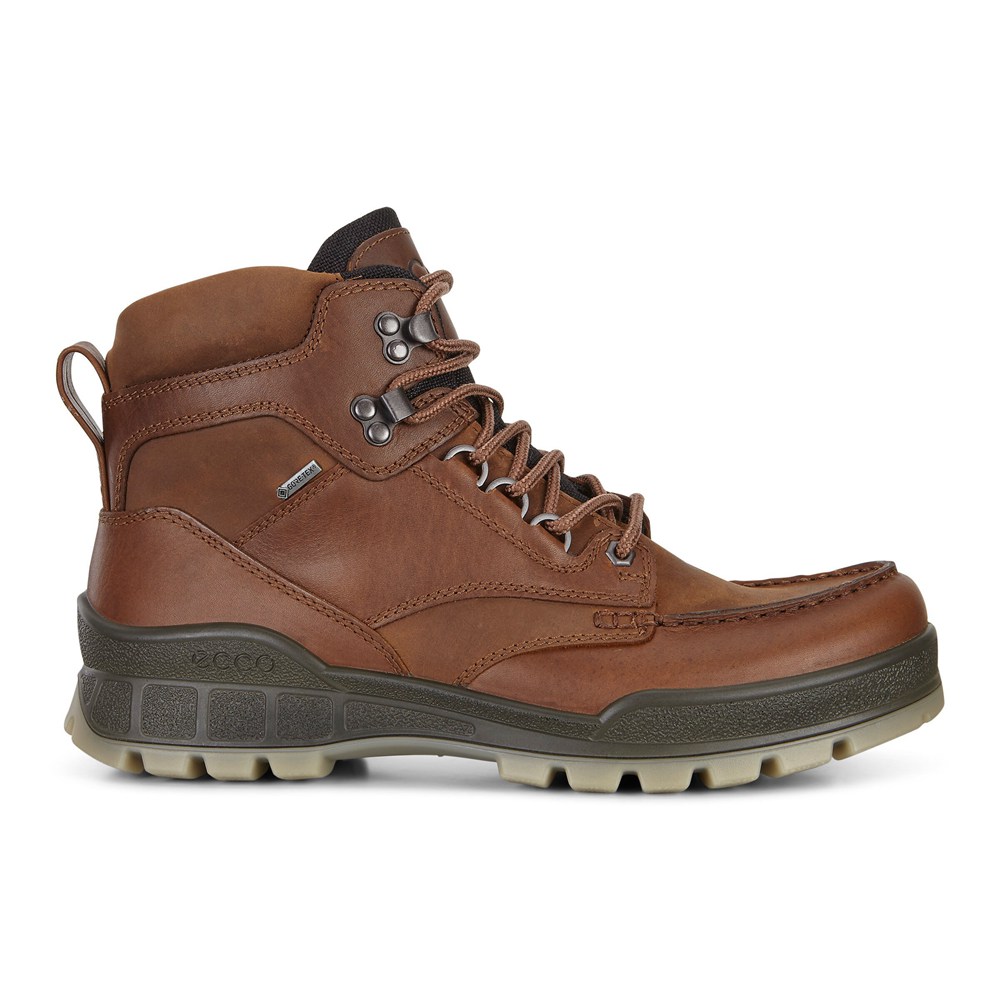 Mens Hiking Shoes - ECCO Track 25 High - Brown - 2930TFJUO